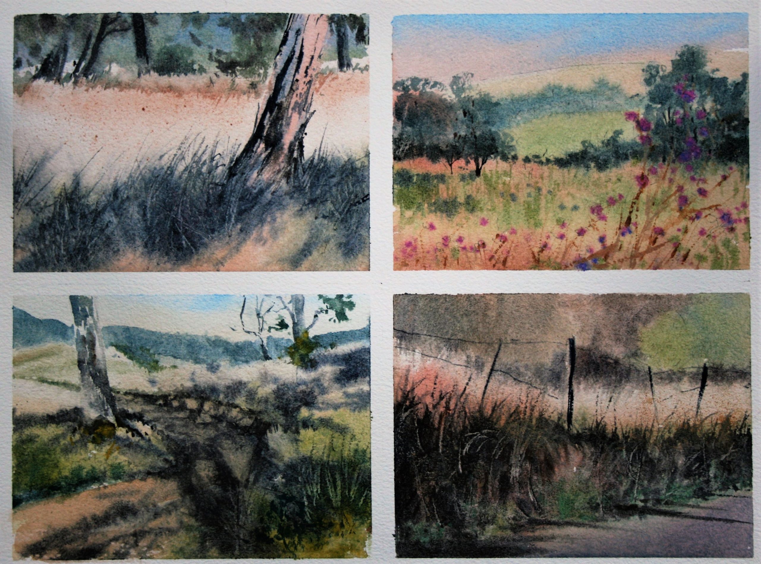 All four studies for Grasses, Shadows and Textures Lesson 1 (2)
