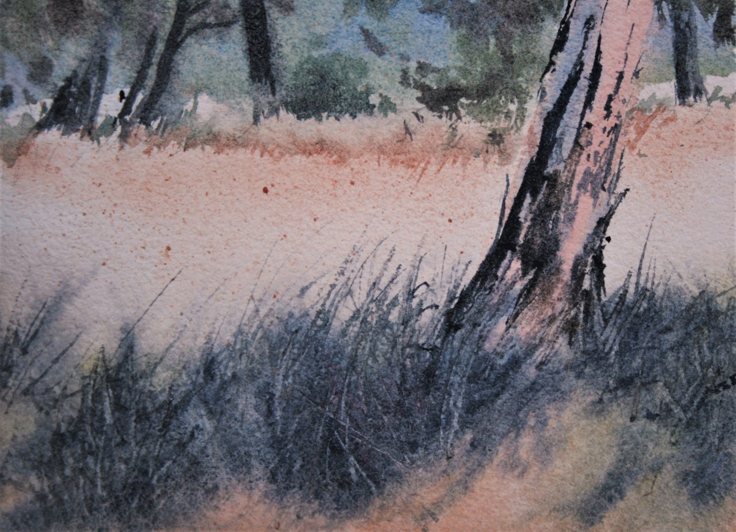 Sample 1 Grasses, Shadows & Textures Lesson T421