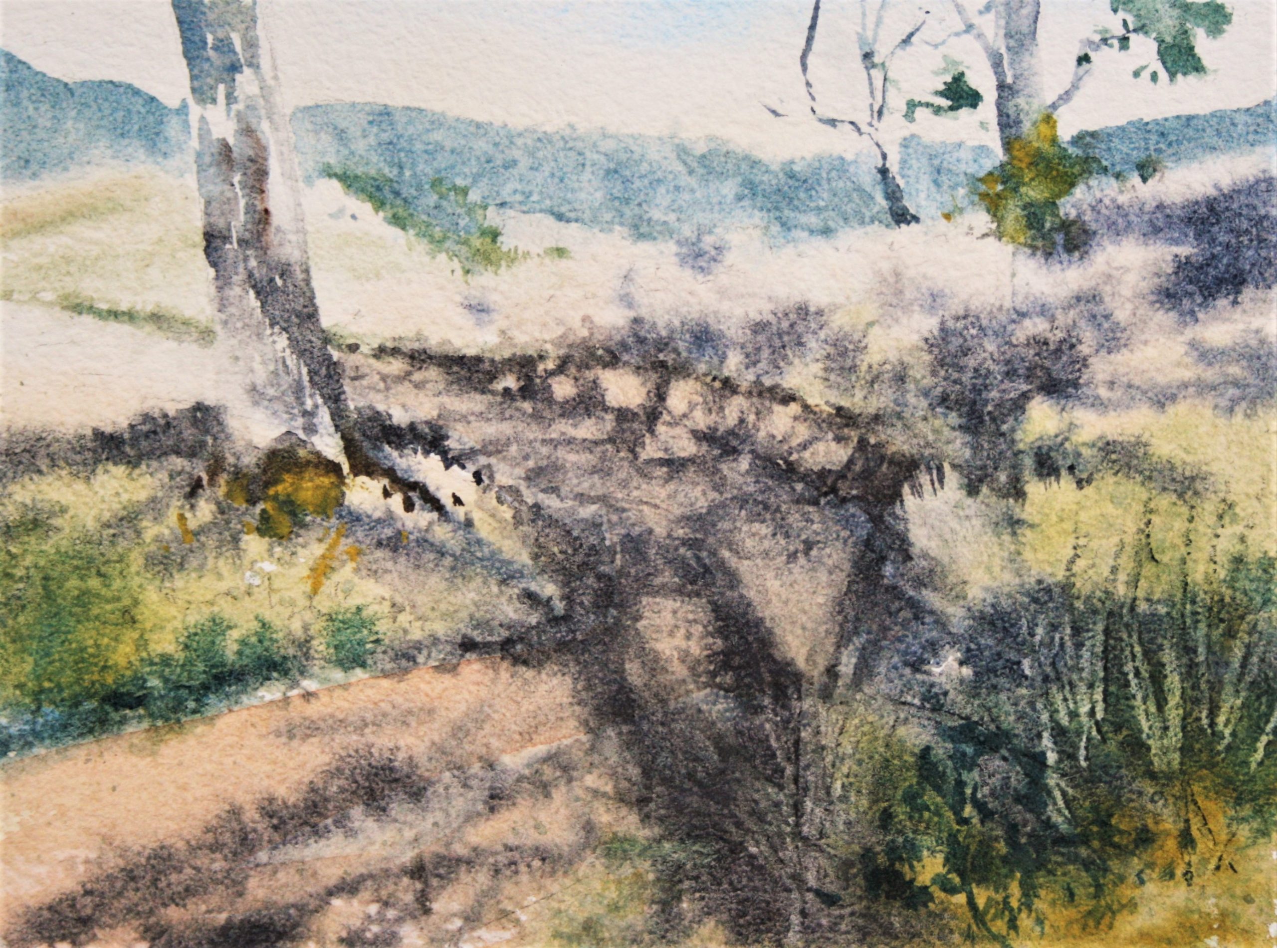 Sample 2 Grasses, Shadows & Textures Lesson 1 T421