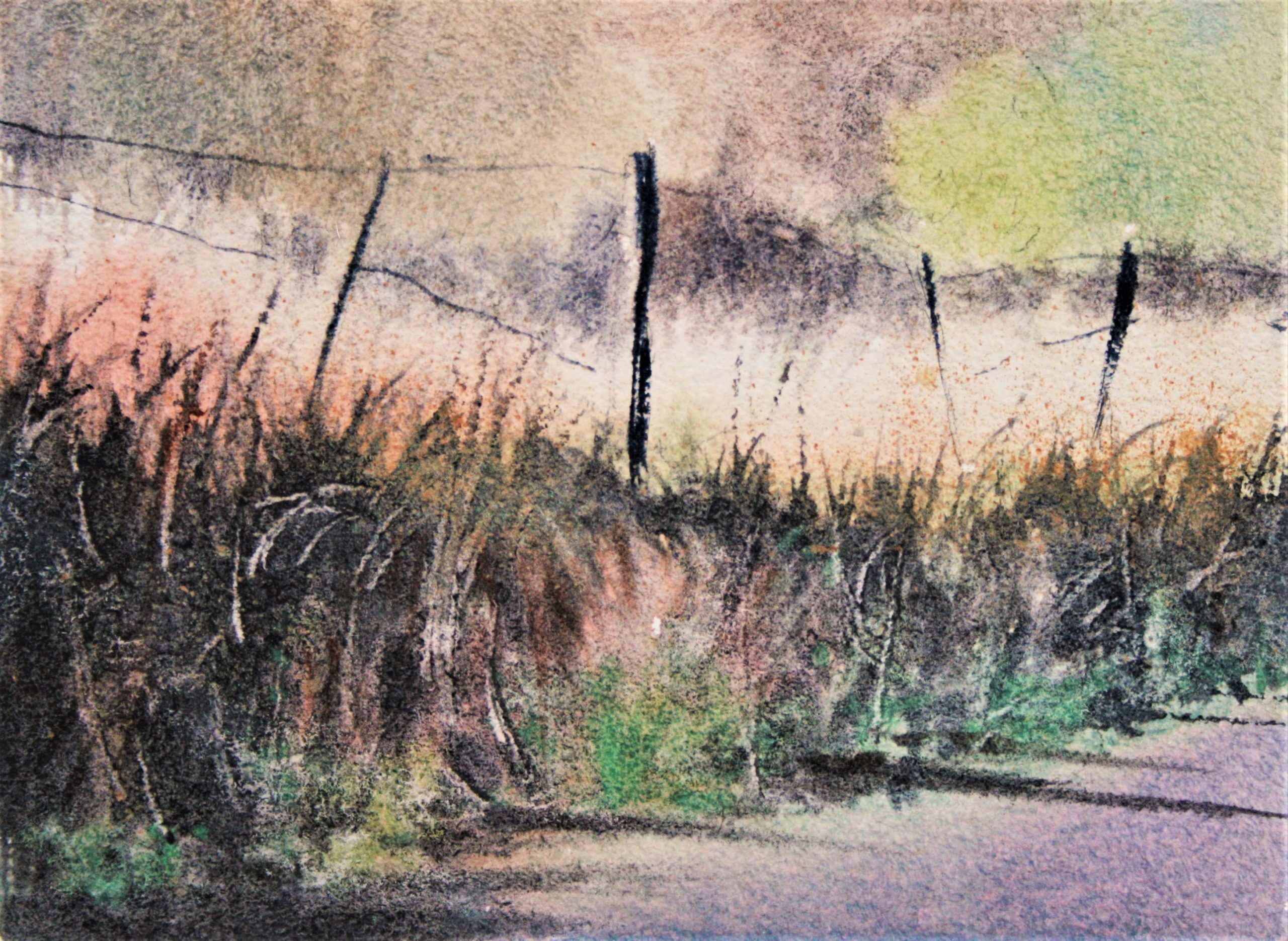 Sample 4 Grasses, Shadows & Textures Lesson 1 - Copy