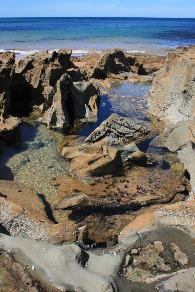 Rockpools, Shadows and Reflections Course 6 Photo 3