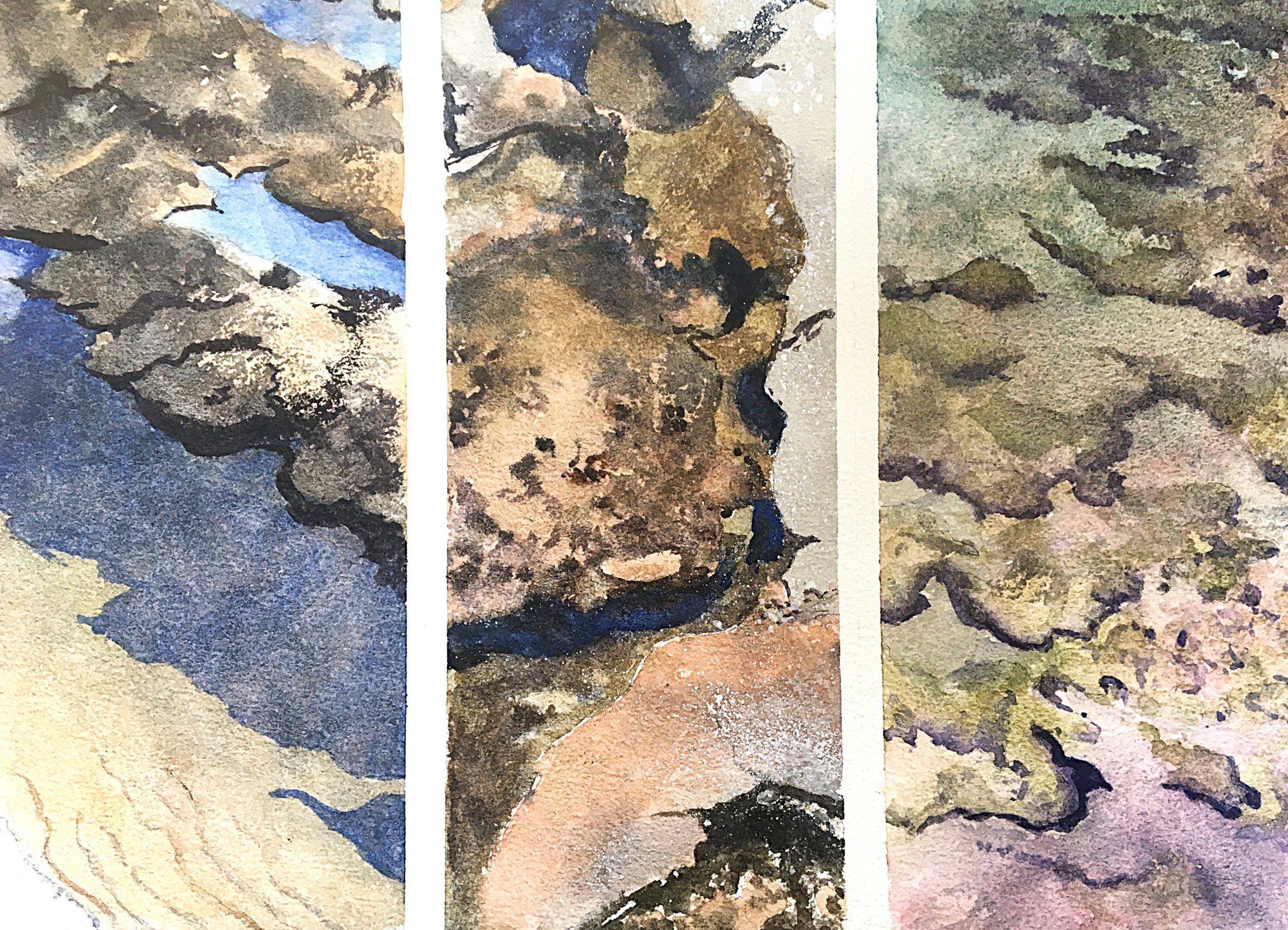 studies